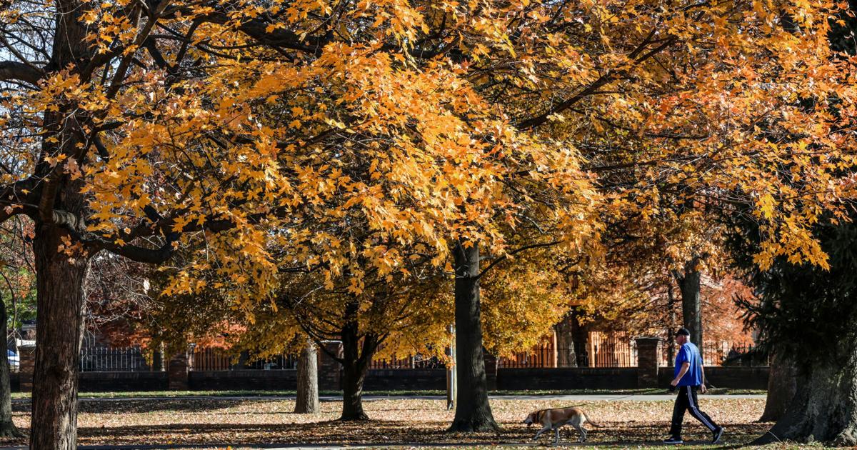 Fall Walk in the Park | Local News | messenger-inquirer.com