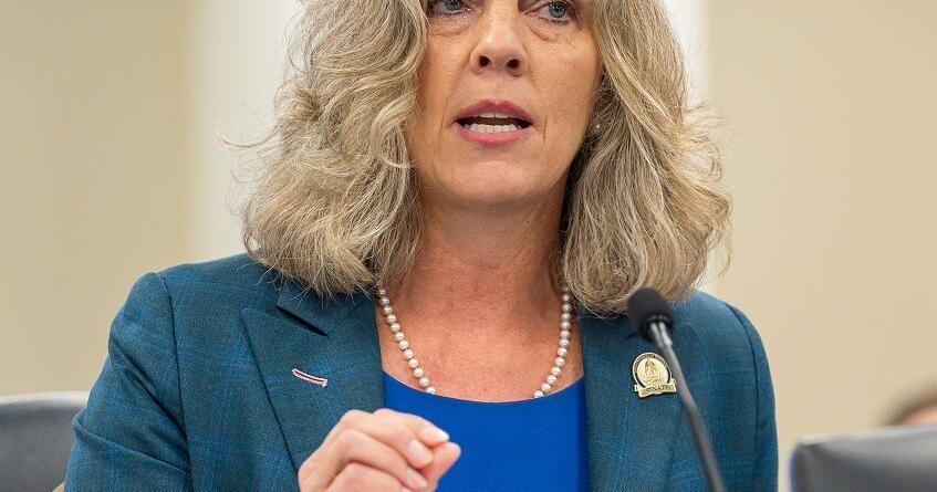 Birthing centers discussed at Certificate of Need Task Force meeting