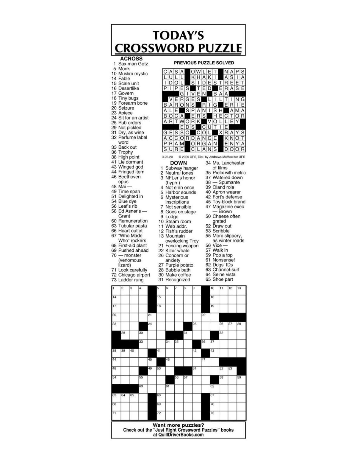 Opinion Page Perspective Crossword Freebie! Author'S Point Of View
