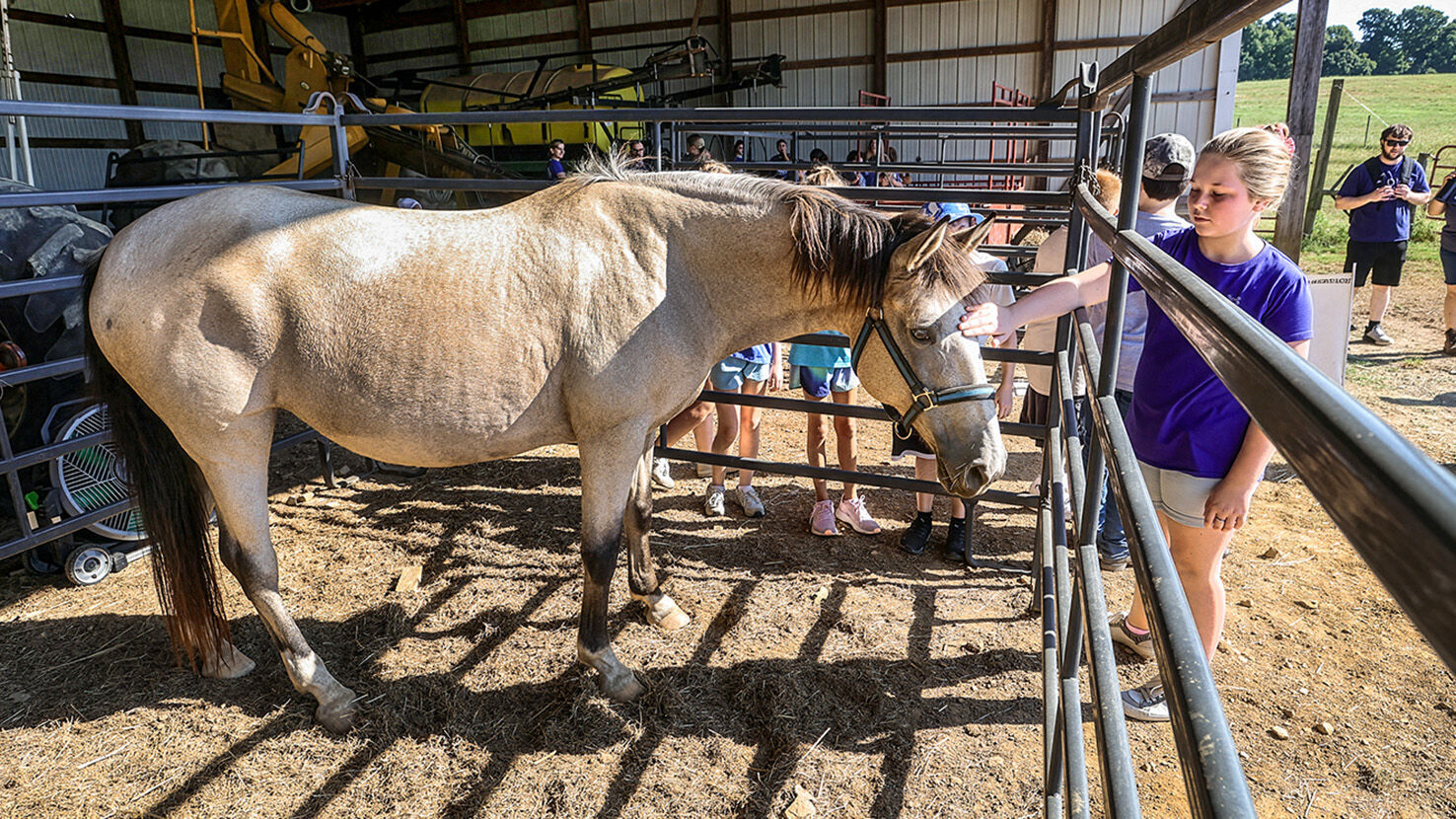 Kernels of knowledge: Ohio County Youth Ag Days celebrate 30 years