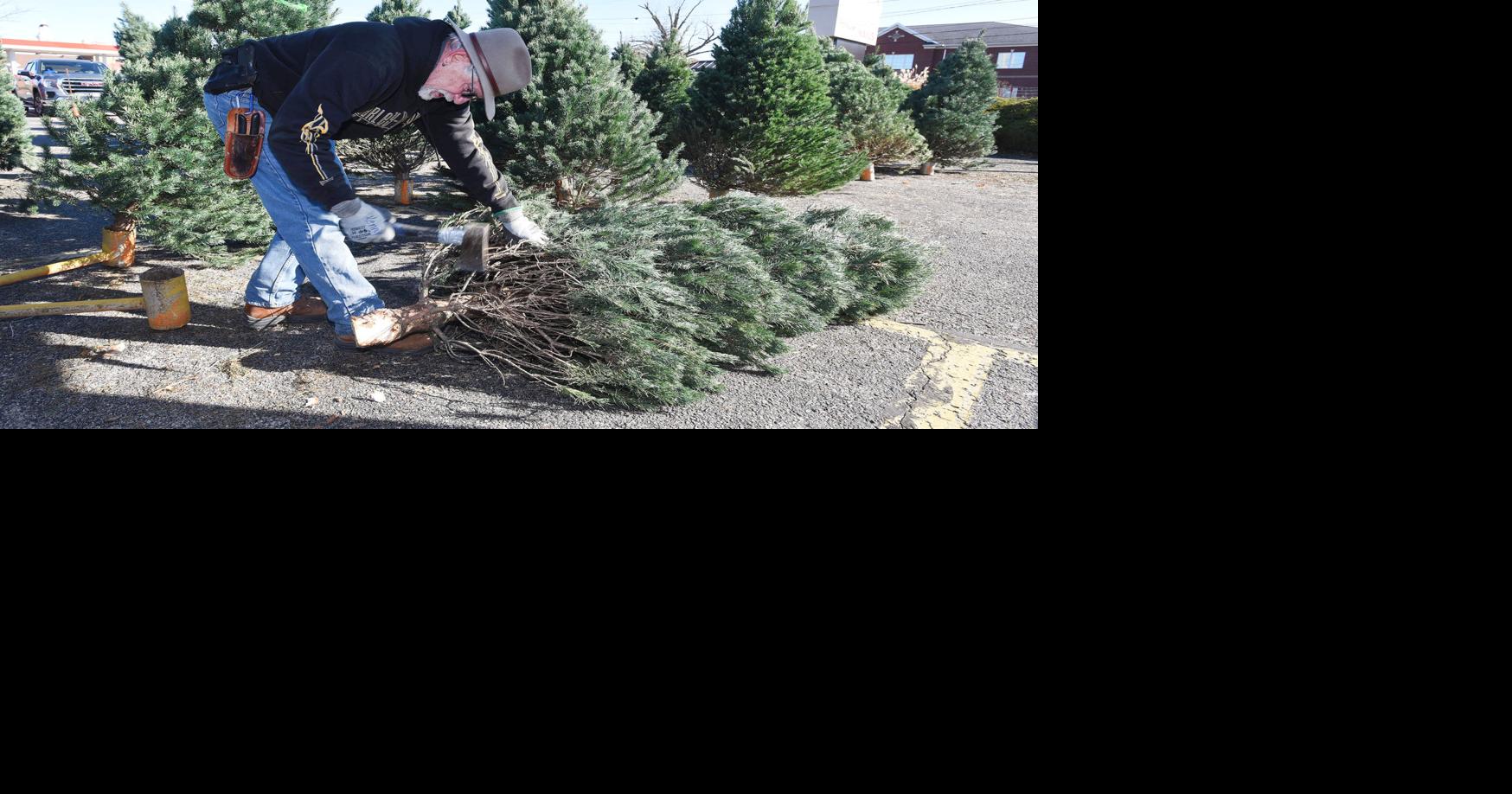 Anderson Christmas trees continues to supply the community News