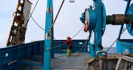 Trawl fishing catches huge amounts of seafood. It also devastates the seafloor