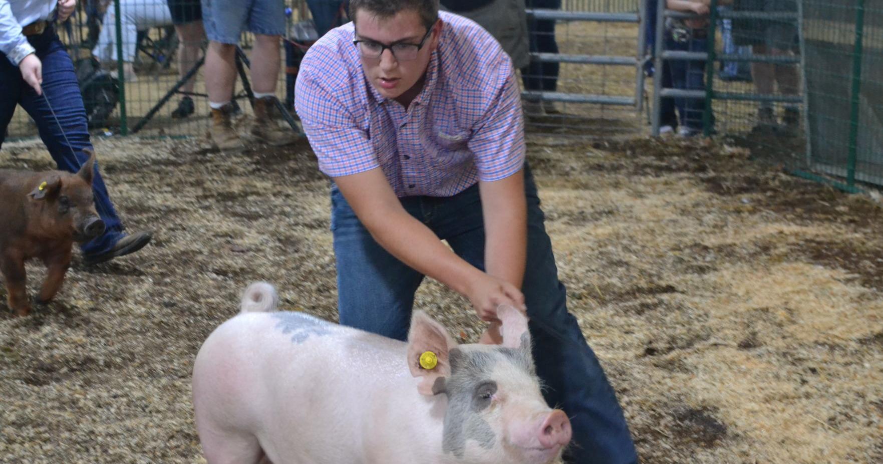 Ag Fair makes return to county - Vimarsana News