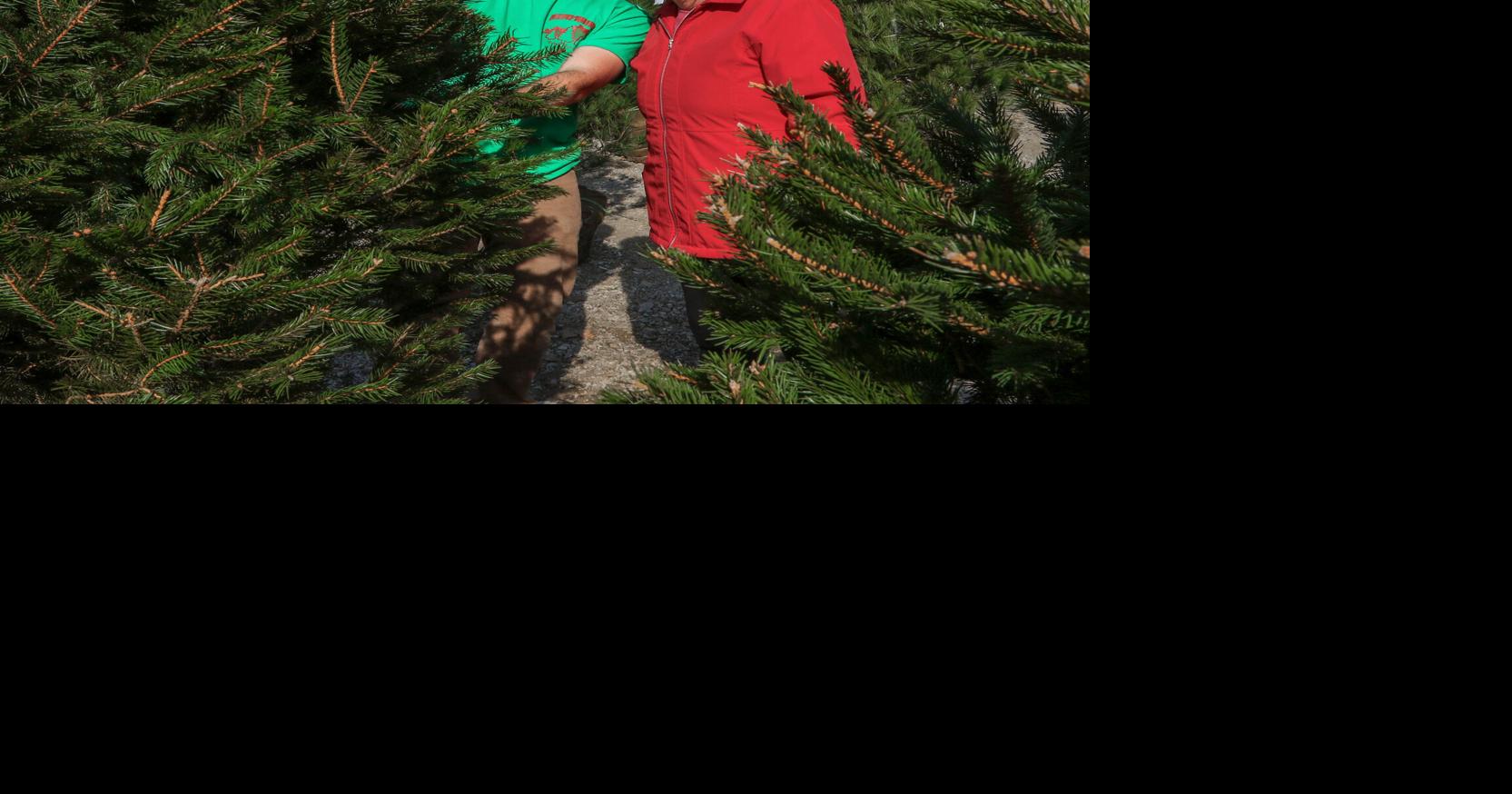 40 years of cheer: Hilltop Tree Farm opens for holiday season | News ...