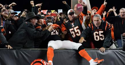 Bengals defense clamps down on Bills in 2418 win Bengals defense clamps down on Bills in 2418 win