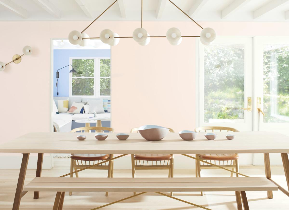 Calamine Pink Or Dead Salmon What S Behind Paint Names News