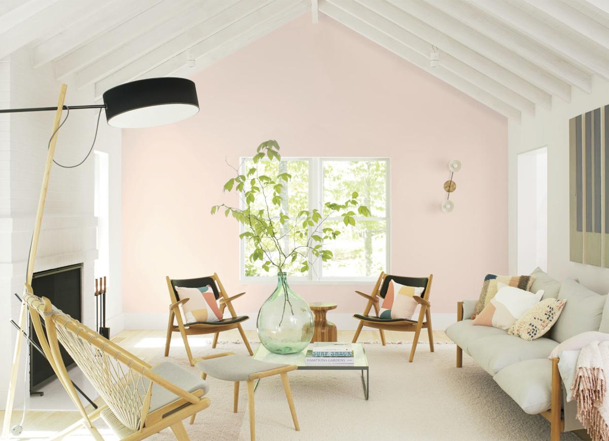 Calamine Pink Or Dead Salmon What S Behind Paint Names News