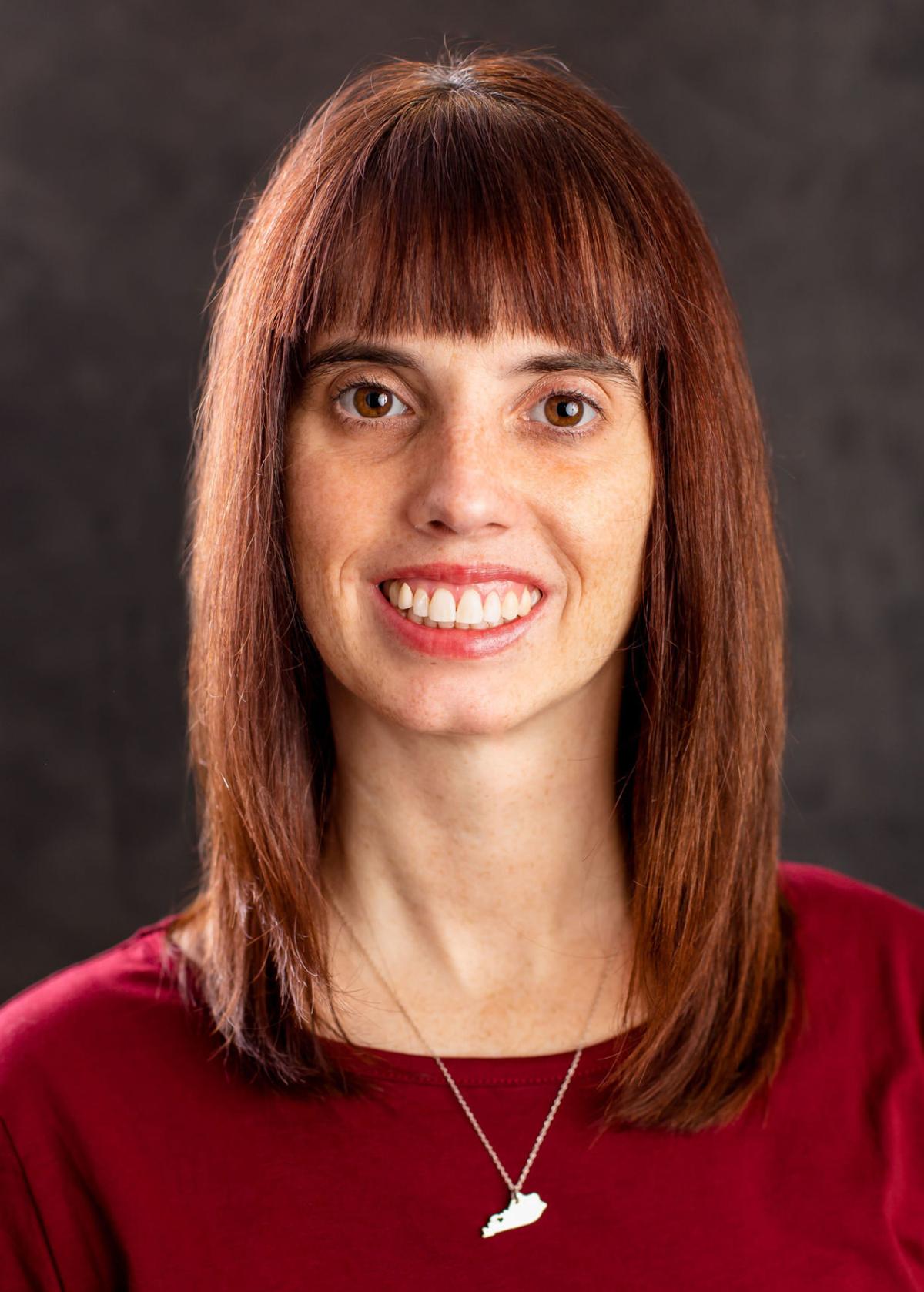 Daviess officials preparing elections plan, will purchase new voting