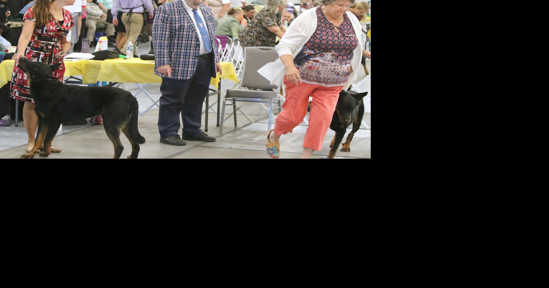 Simply the Best Dog show judges aim to find perfection News