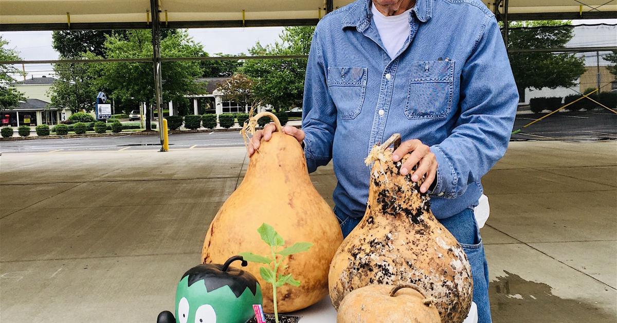 The Gourd Life: Local grower raises gourds for art creations ...
