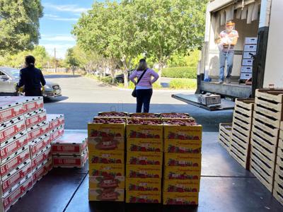Farm To Parking Lot To Table The Pandemic Is Inspiring Creative Efforts To Get Locally Sourced Food Agriculture Messenger Inquirer Com