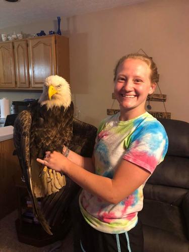 Rescued bird steals hearts before its return to nature > Sacramento  District > Sacramento District News Stories