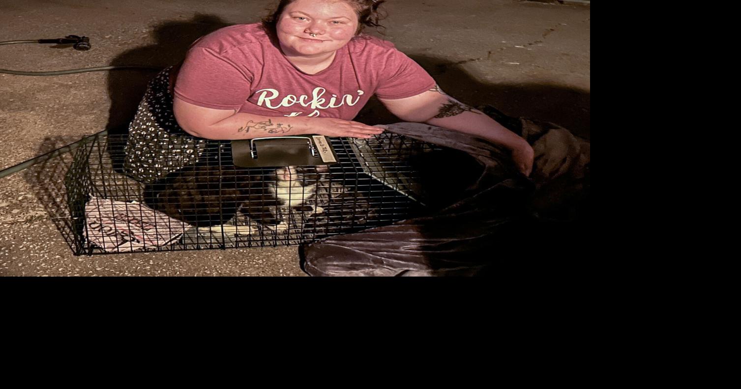 Fixing Felines: Local woman starts TNR nonprofit to mitigate cat ...