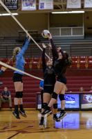 Volleyball team sees mixed results