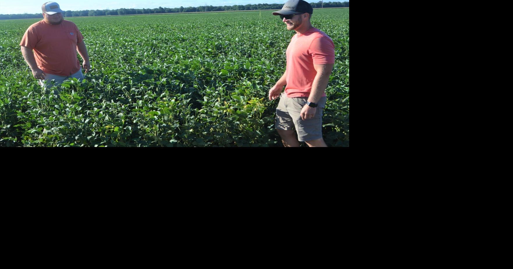 'It's a lifestyle' Dame Farms continues to diversify Mclean County