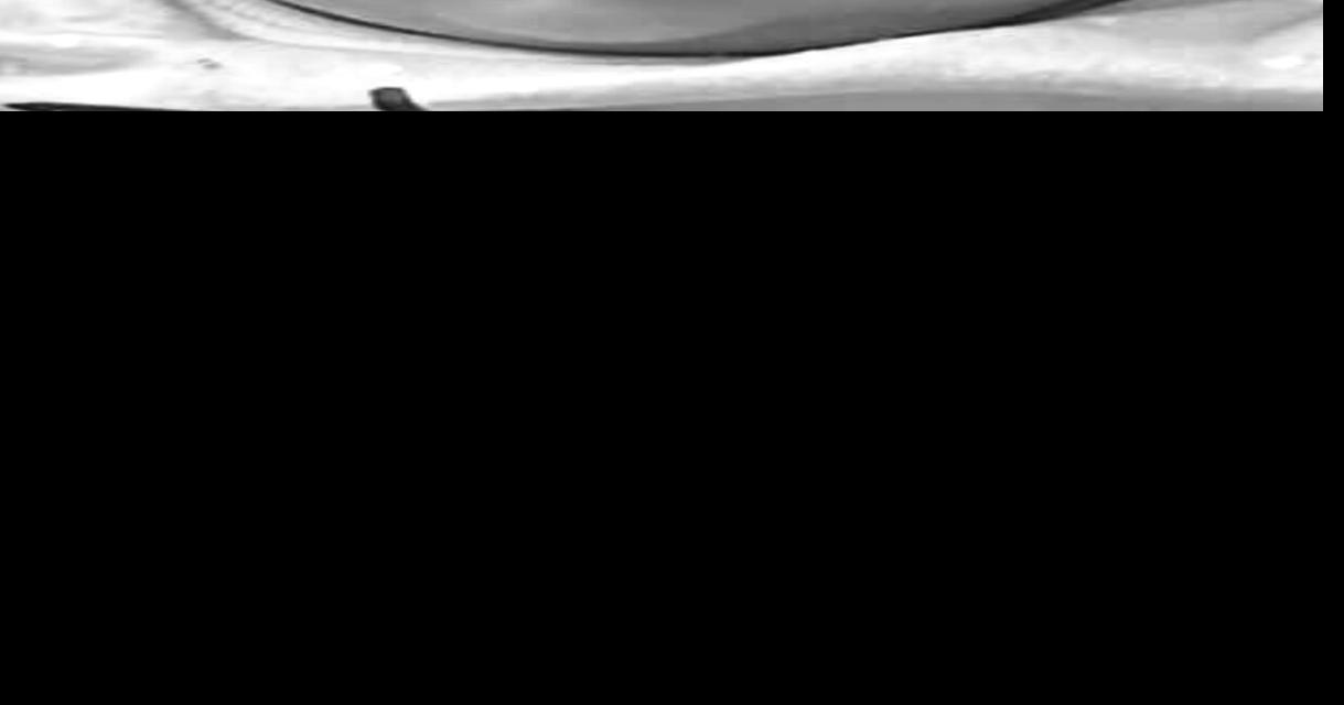 Tamzyn RayElle Reed Obituaries