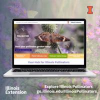 Website shows how to increase pollinators through garden design | News