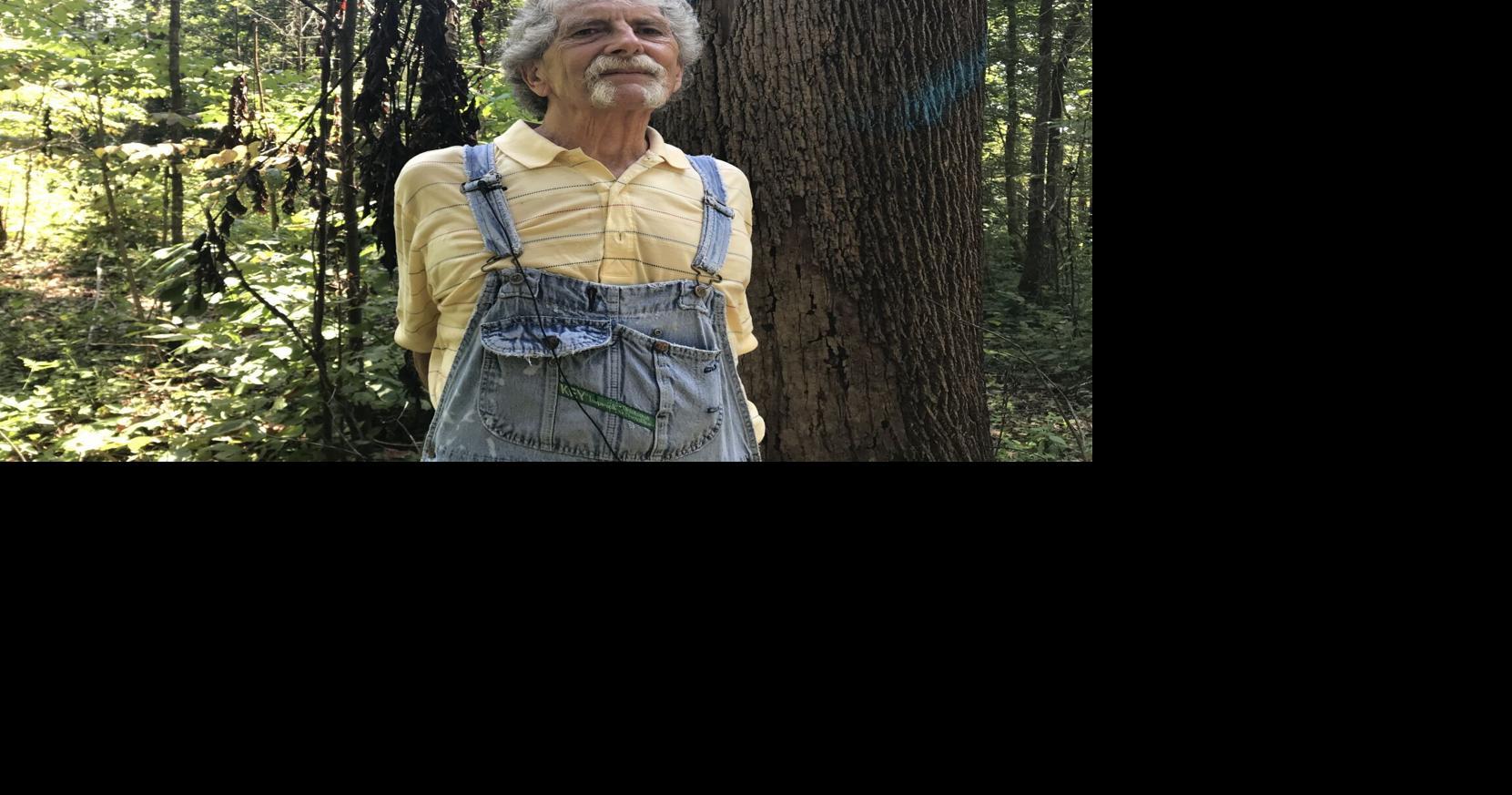 Environmentalist groups take the fight to Forest Service over logging ...