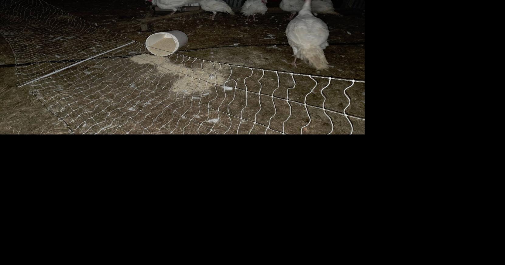 Thomaston Farm Targeted By Burglary