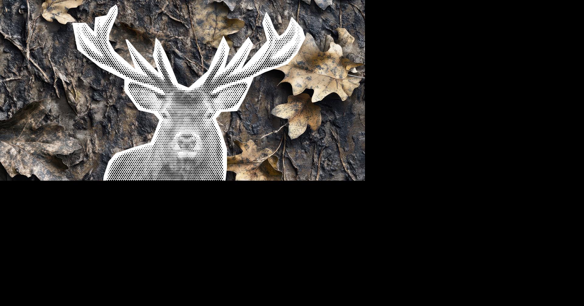 Where to Take Your Deer