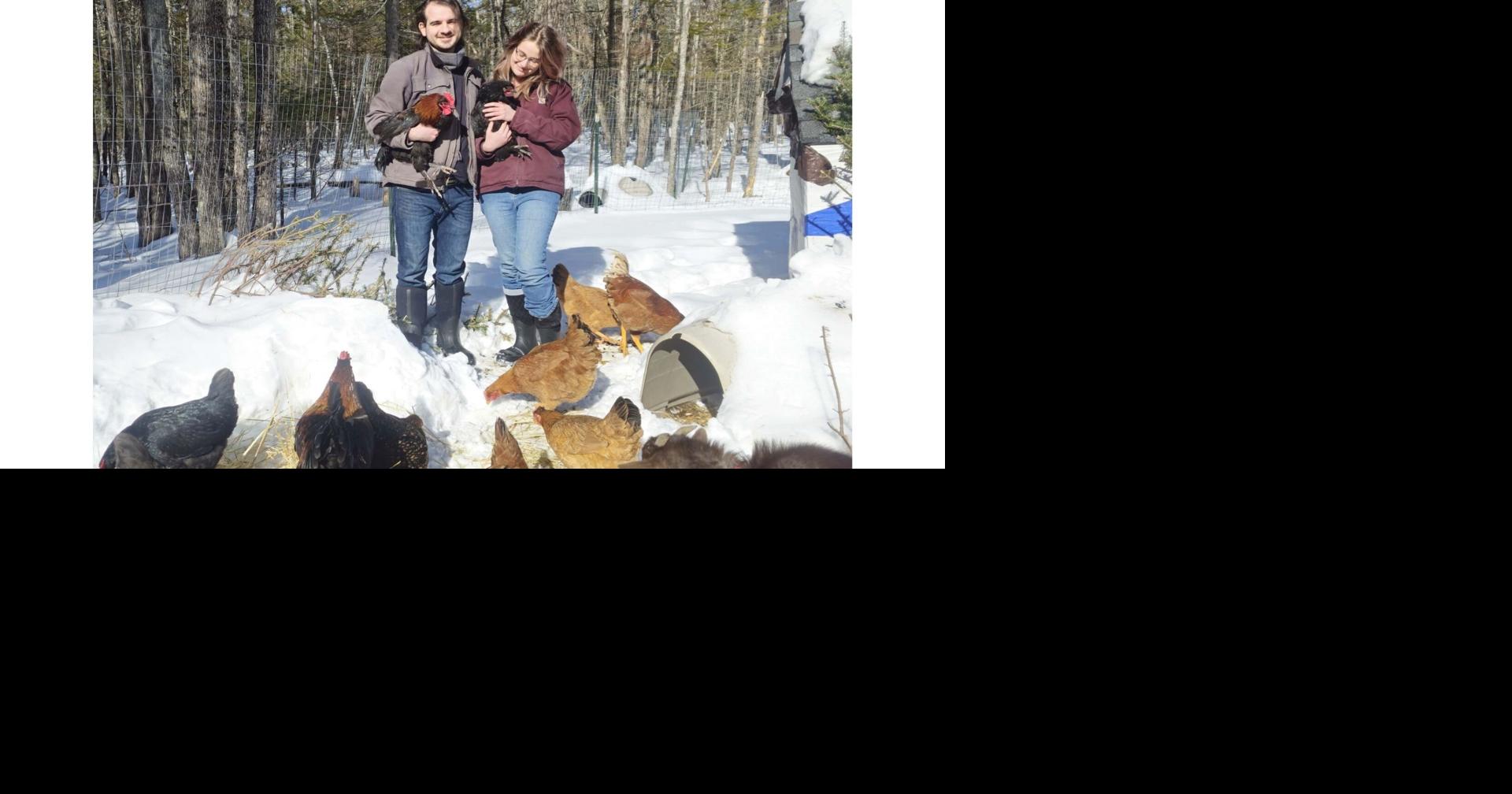 2.15/Backyard Chicken Keeping 101