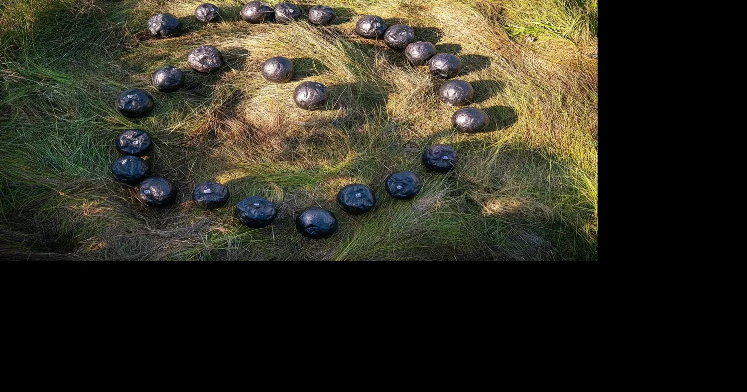 8.22/ ‘SEED' Closing Performance at Olson Field Preserve