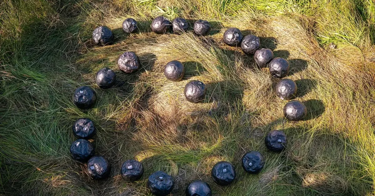 8.22/ ‘SEED' Closing Performance at Olson Field Preserve