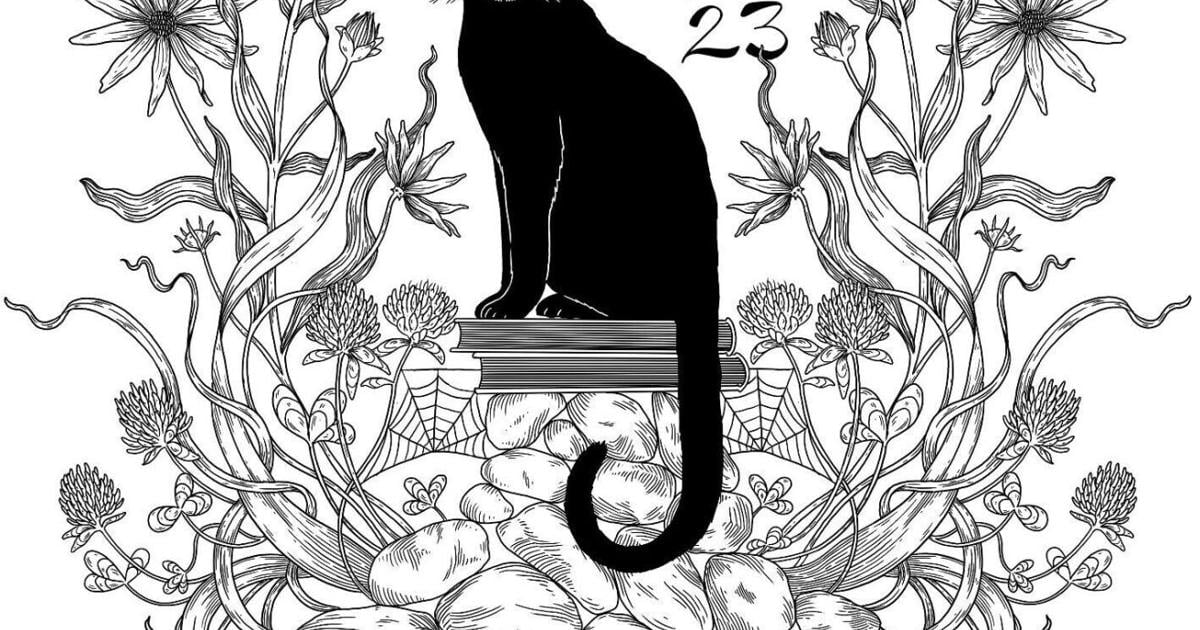 Black Cat Is Back