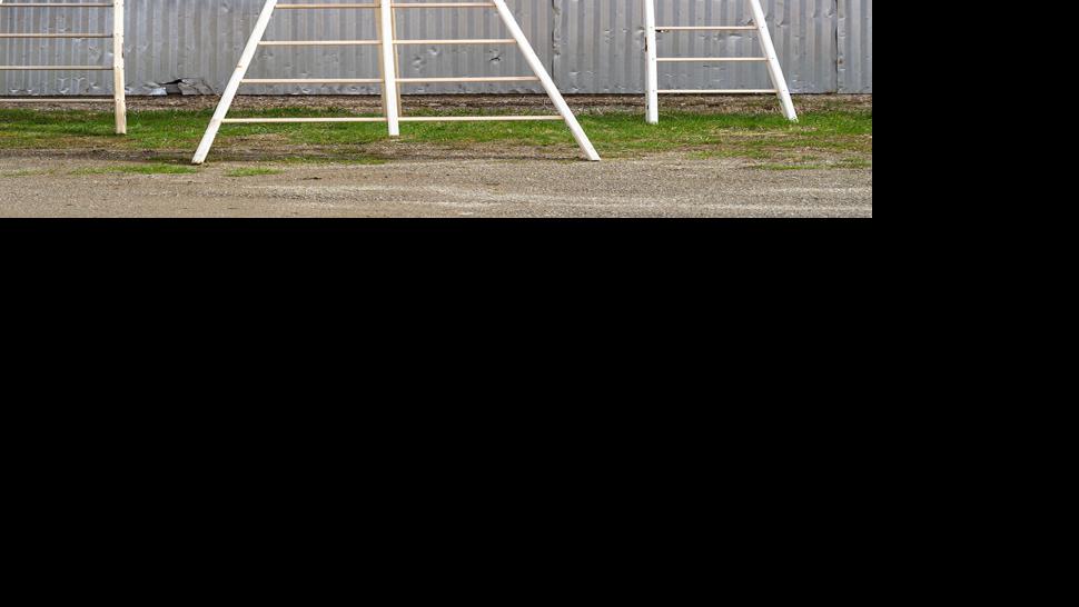 Brooks’ Apple-Ladder Expert