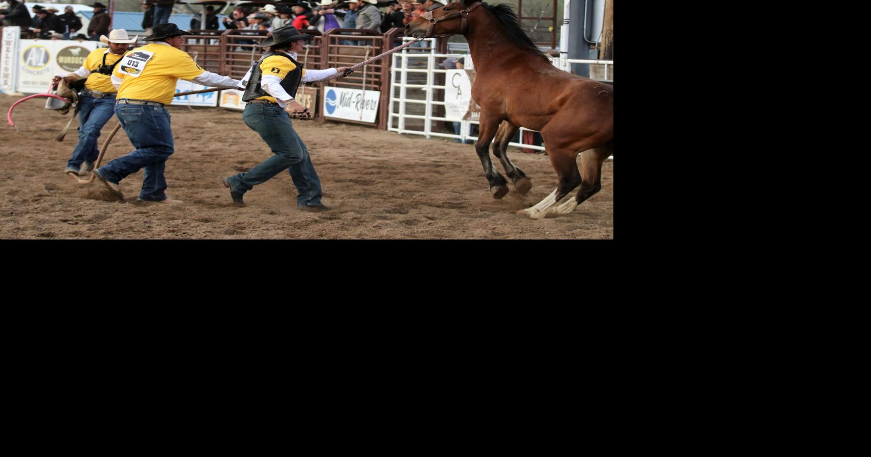 What you need to know with the Miles City Bucking Horse Sale coming up
