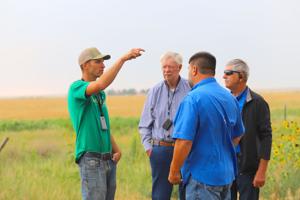 Kentucky Farm Bureau tours Pehl farm to learn dryland, pulse crop practices