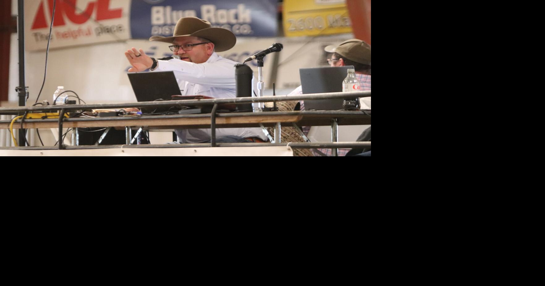 2026 Montana Ram and Ewe Sale results