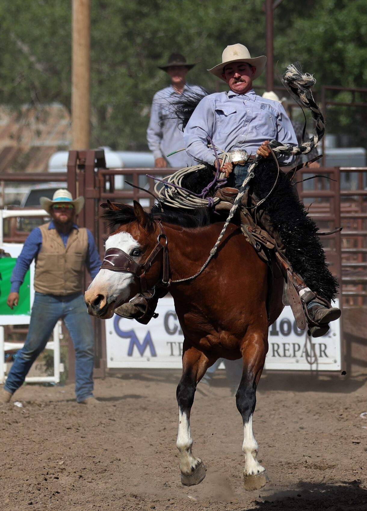 Cole Harris Rodeo 15th annual Miles City Ranch Rodeo packed with action | Sports ...