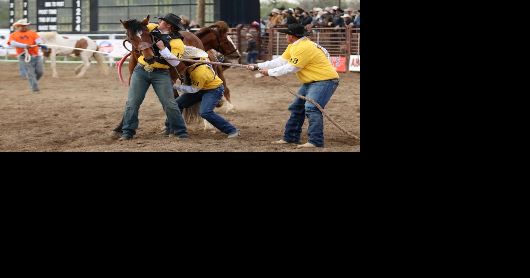 World Famous Bucking Horse Sale Sports