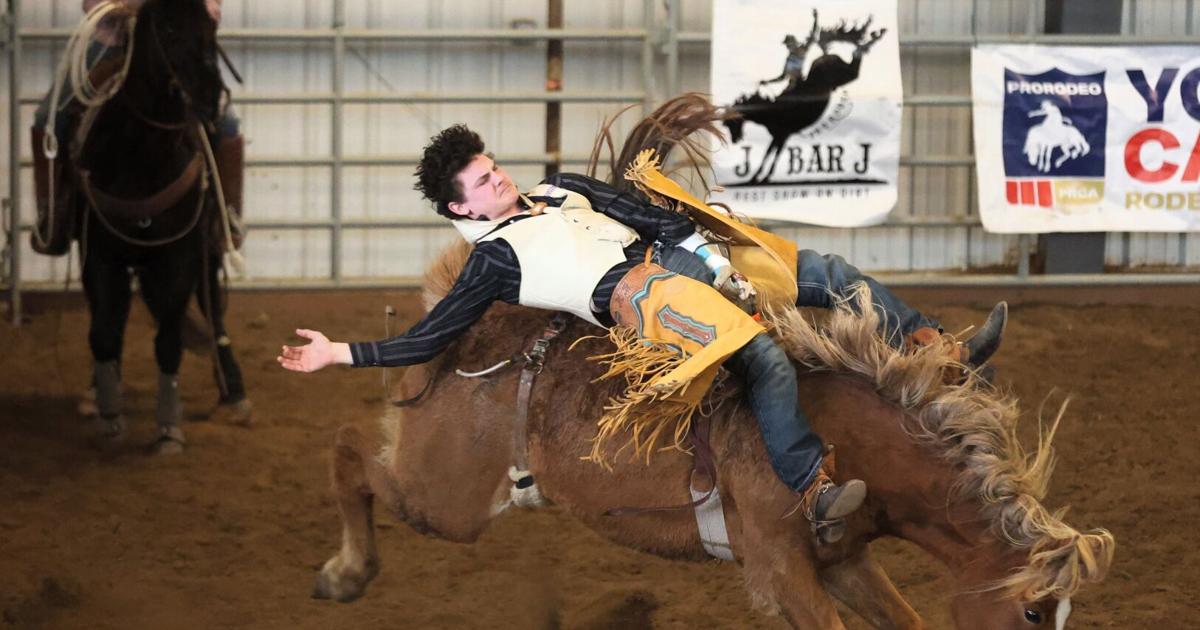 Bronc Riding School | Sports | milescitystar.com