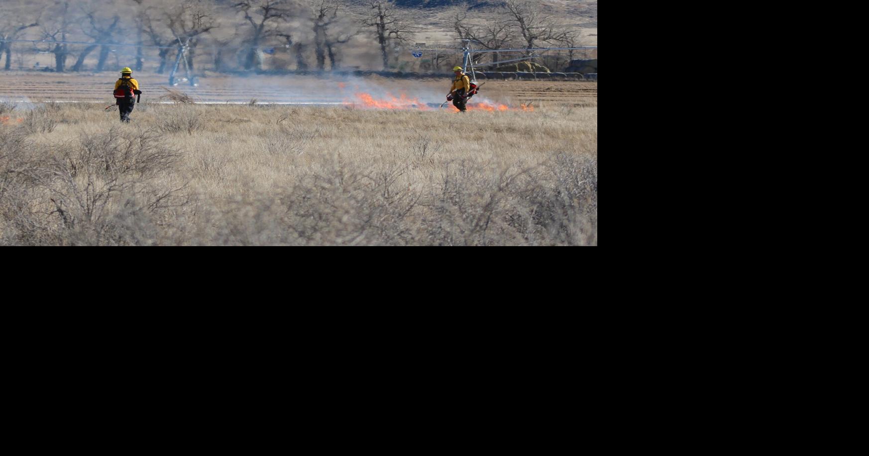 Neighbors organizing to bring prescribed fire to Montana