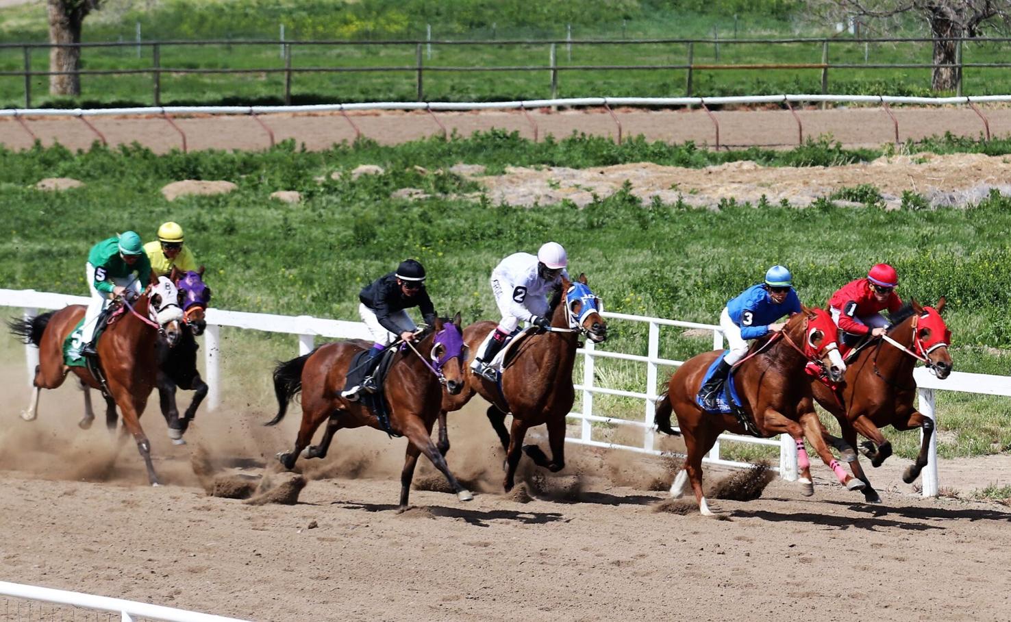 Live horse racing kicking off this weekend Sports