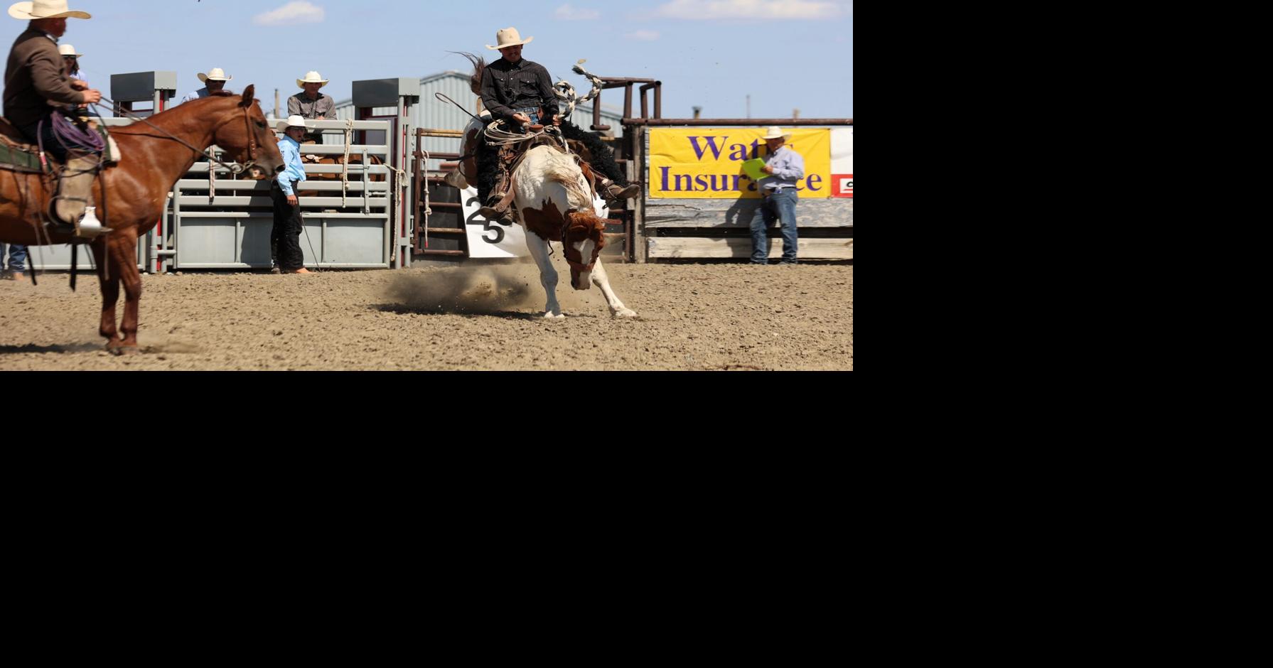 Ranch bronc riding at Ingomar Rodeo News