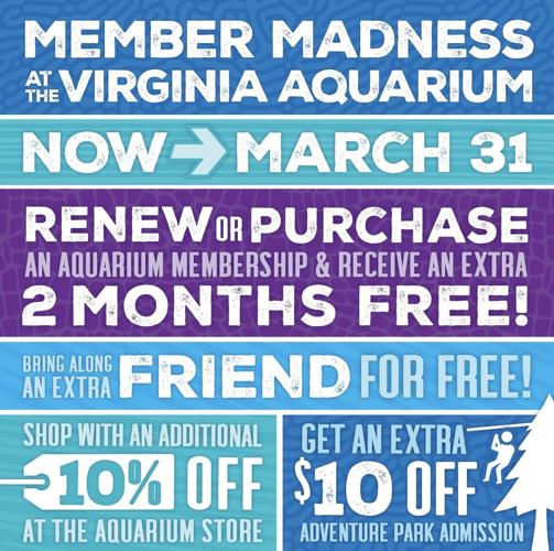 Virginia Aquarium’s Membership Madness, full of perks and discounts