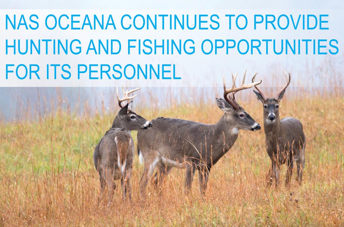 Oceana continues to provide hunting and fishing opportunities for all  personnel, Top Stories