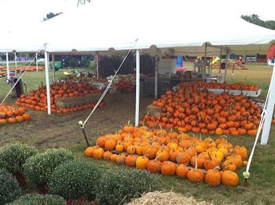2017 Hampton Roads Pumpkin Patches Life Militarynews Com