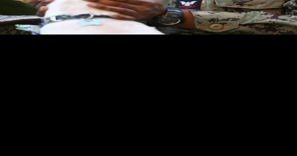 Fostering the pets of our service members while on deployment is the