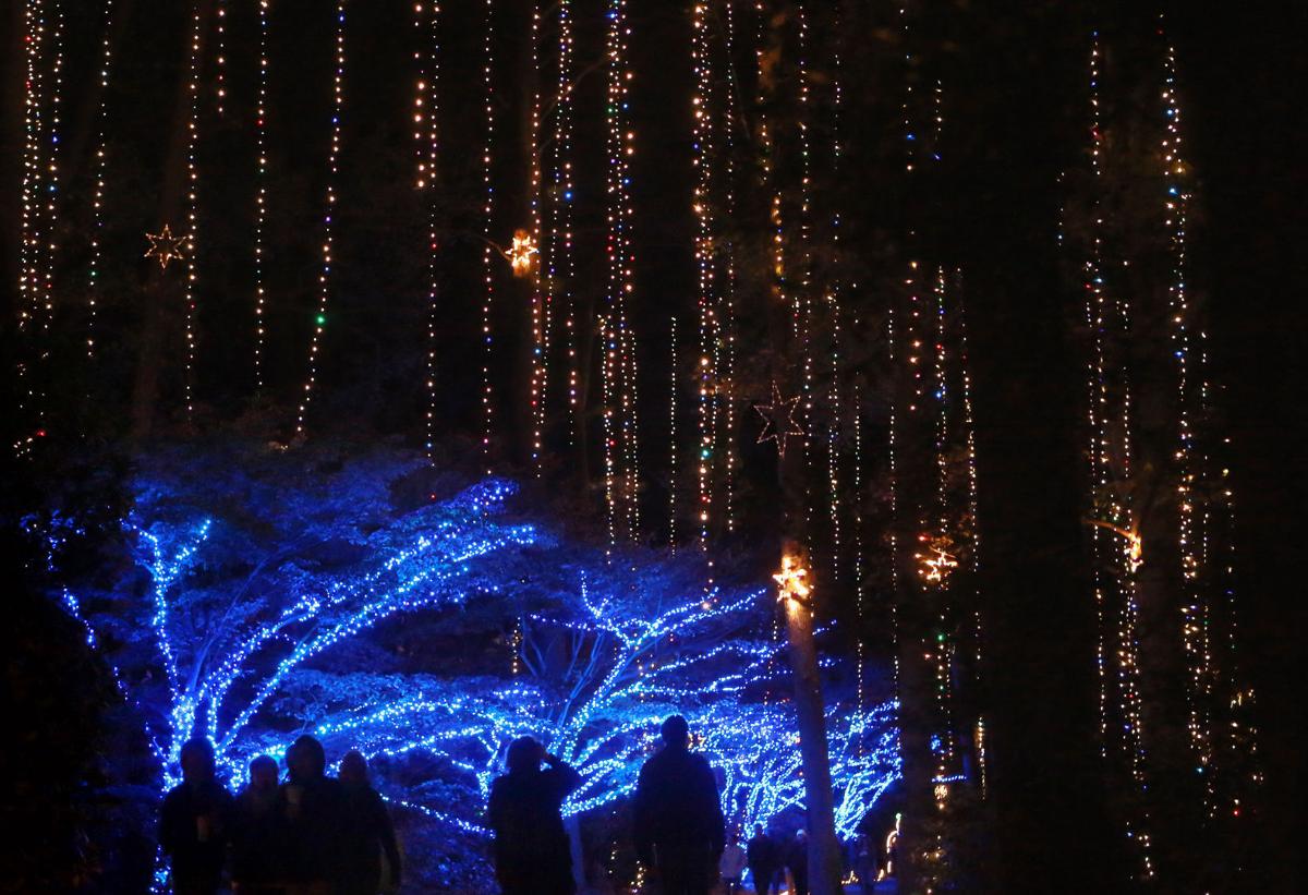 Check Out The Garden Of Lights At Norfolk Botanical Garden On