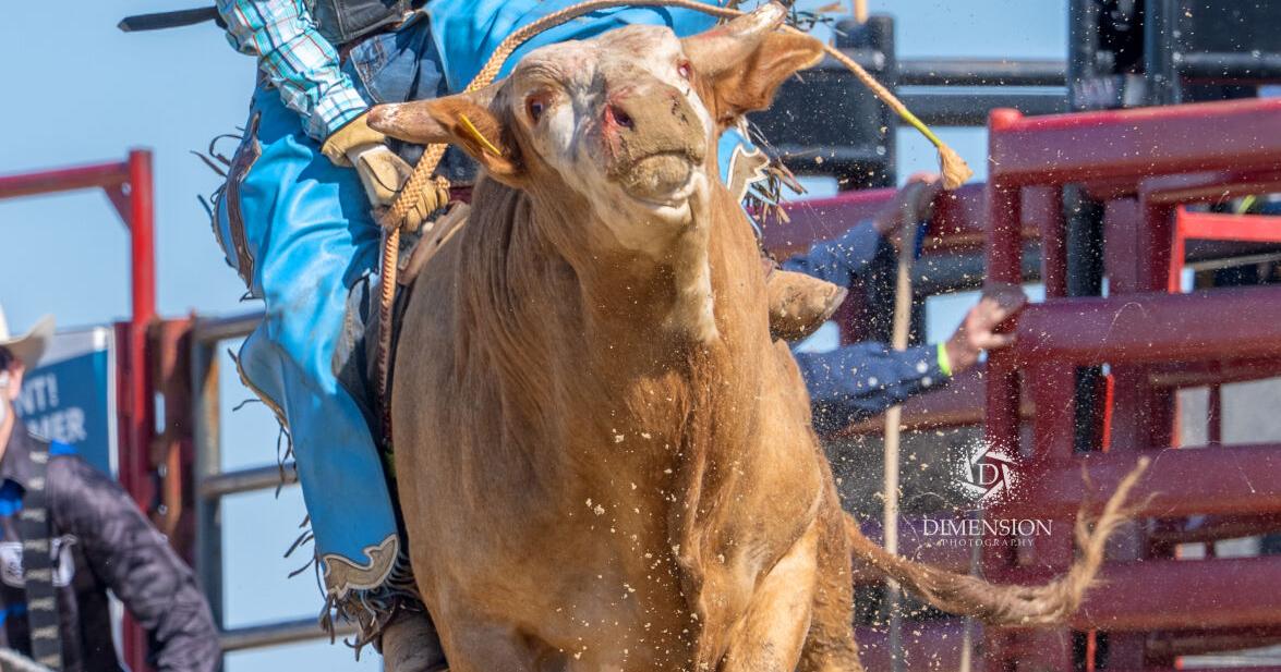 Bulls and Barrels Beach Rodeo returns to the Virginia Beach Oceanfront on April 25-26, 2026 -- Fourth annual event features world-class competition and free country concerts headlined by Chayce Beckham and Alana Springsteen