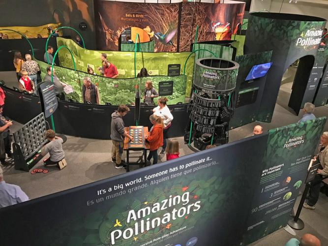 Pollinators Vip “Bee” Amazed by the new changing exhibit at the Virginia Aquarium ...