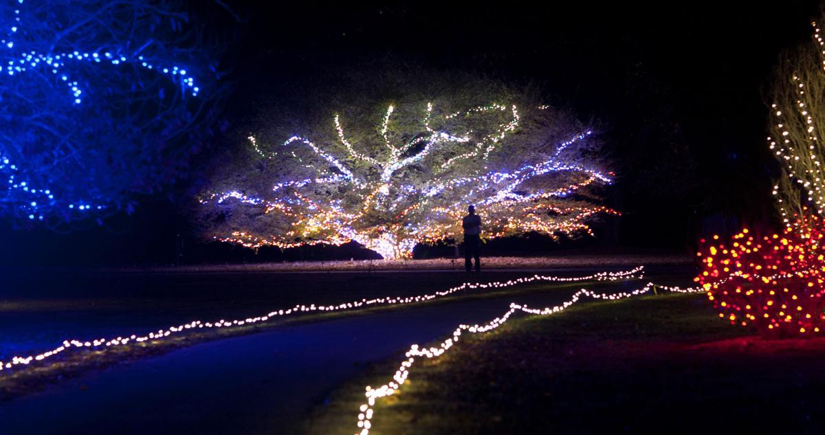 Check Out The Garden Of Lights At Norfolk Botanical Garden On