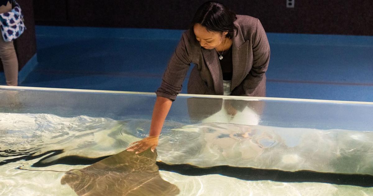 Register now for Virginia Aquarium’s free Teacher Open House