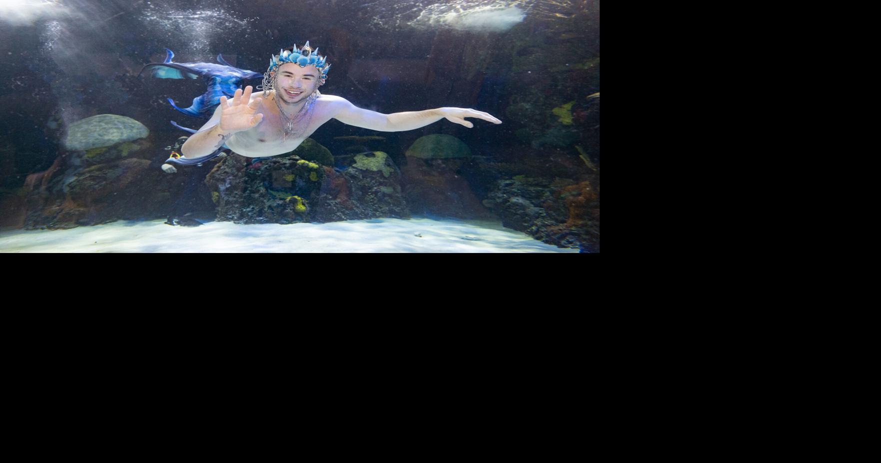 Mer-Magic is coming to the Virginia Aquarium in April 16-19 | Community ...