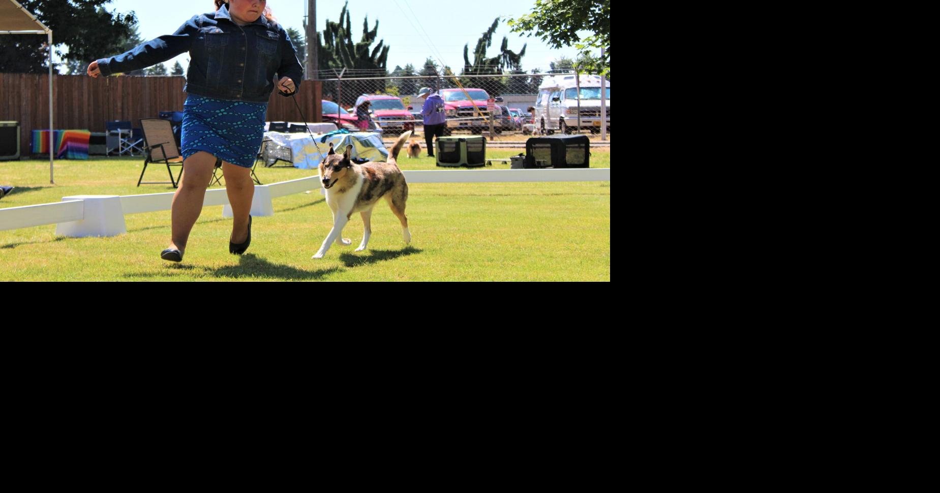 Dogs have their days at Clackamas County Fairgrounds News