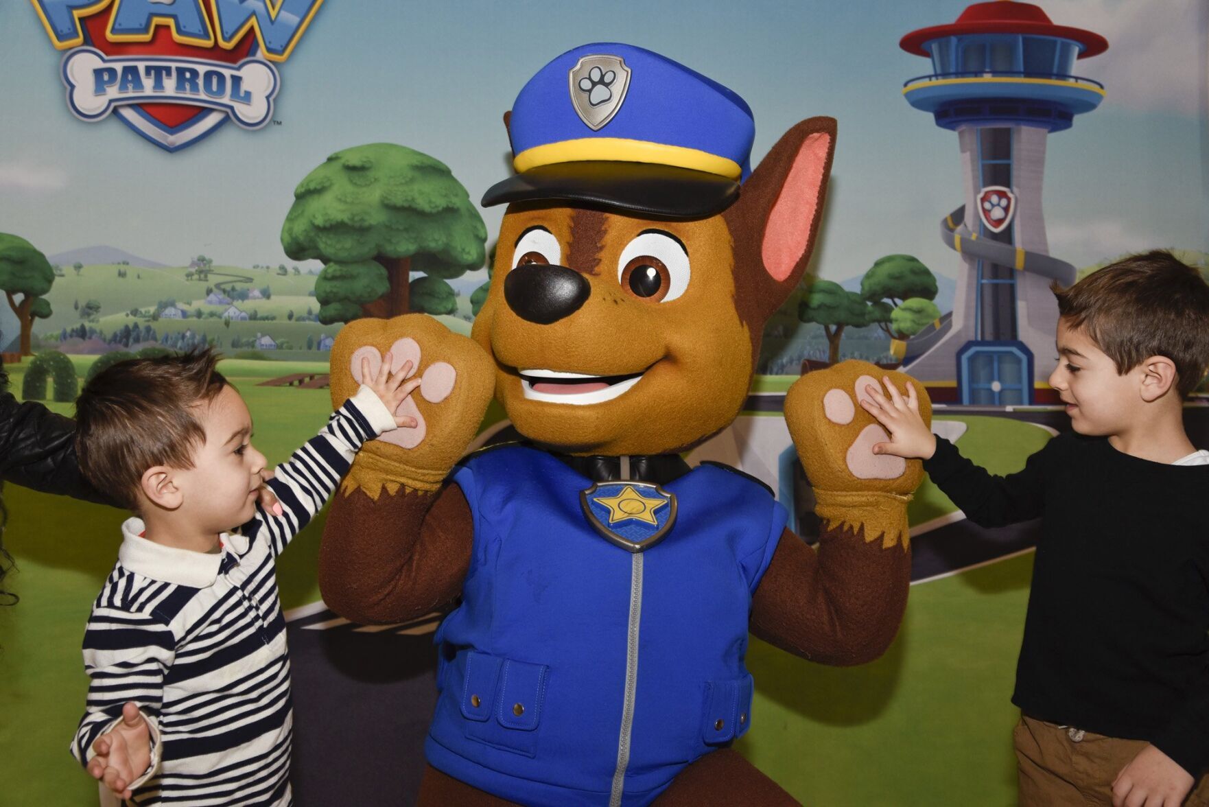 Paw patrol outlet outlet